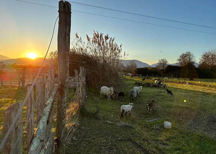 Feriehus Caline, 4 Chambres, Lotissement Calme Et Proche *