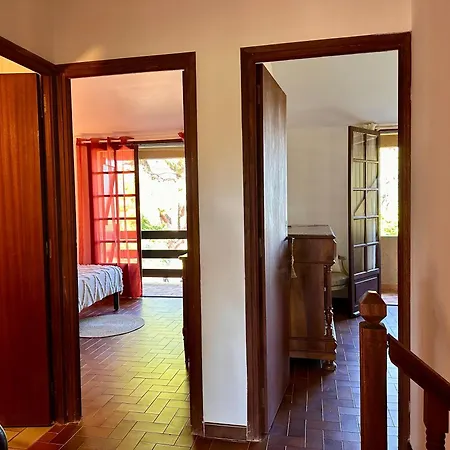 Caline, 4 Chambres, Lotissement Calme Et Proche