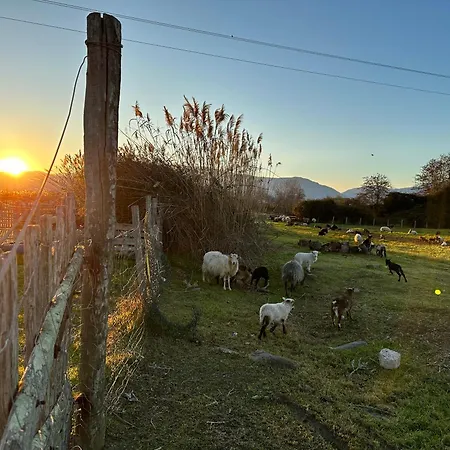 בית נופש Caline, 4 Chambres, Lotissement Calme Et Proche *