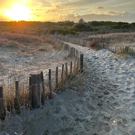 Caline, 4 Chambres, Lotissement Calme Et Proche