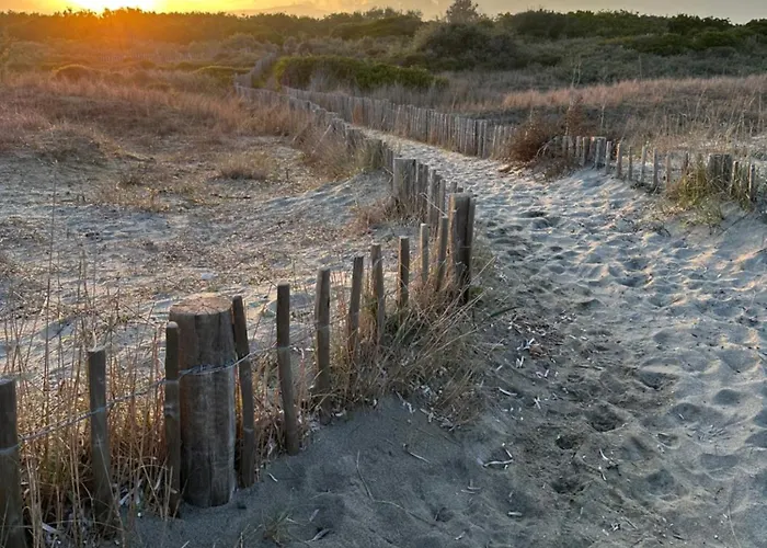 Caline, 4 Chambres, Lotissement Calme Et Proche